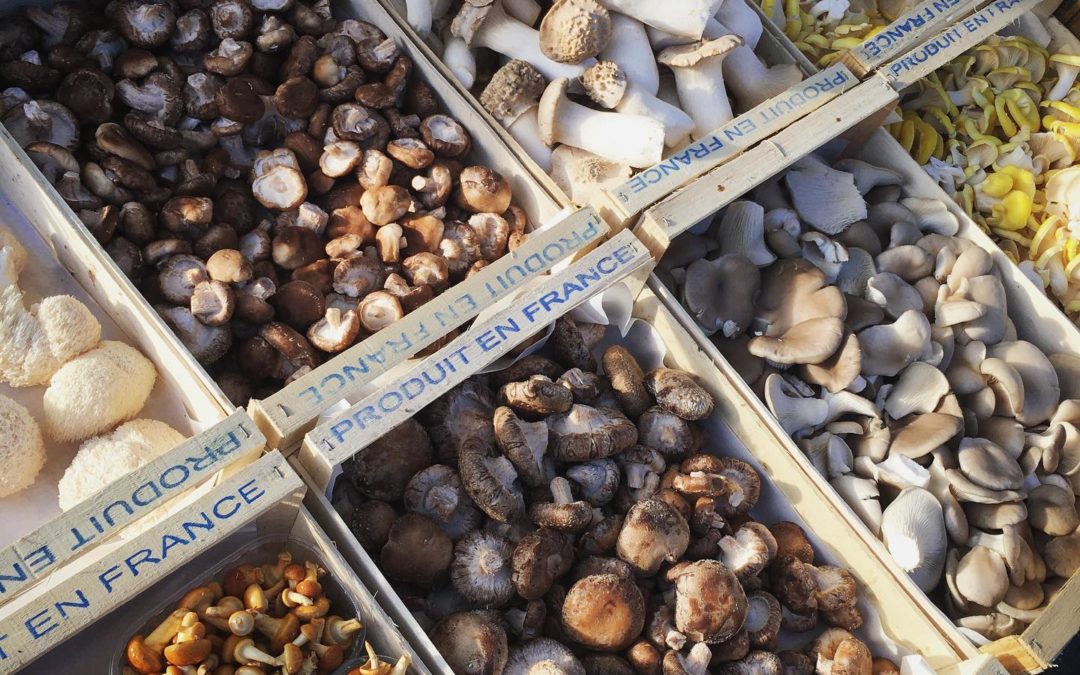 Les champignons du Loc'h